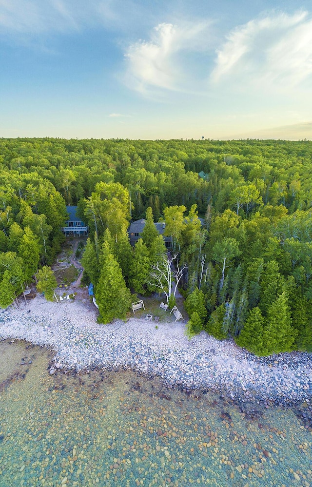 aerial view with a wooded view