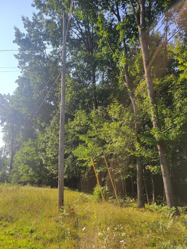 LOT19 Fenwood, Prudenville, MI 48651