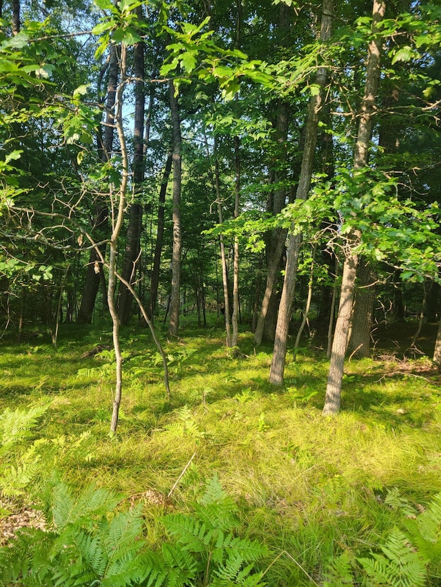 LOT19 Fenwood, Prudenville, MI 48651