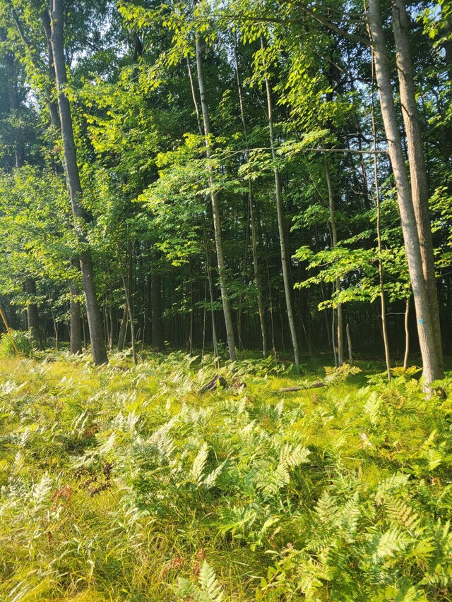 LOT19 Fenwood, Prudenville, MI 48651
