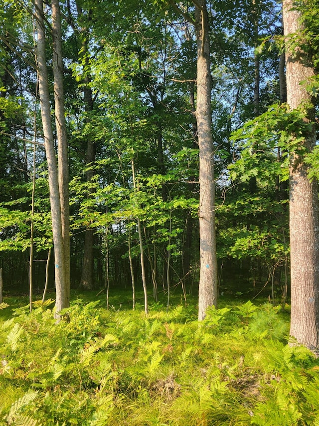 LOT19 Fenwood, Prudenville, MI 48651