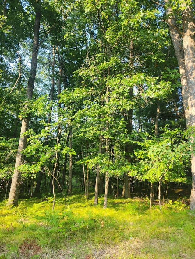 LOT19 Fenwood, Prudenville, MI 48651