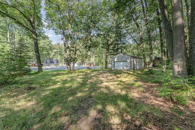 view of yard with a garage and an outdoor structure