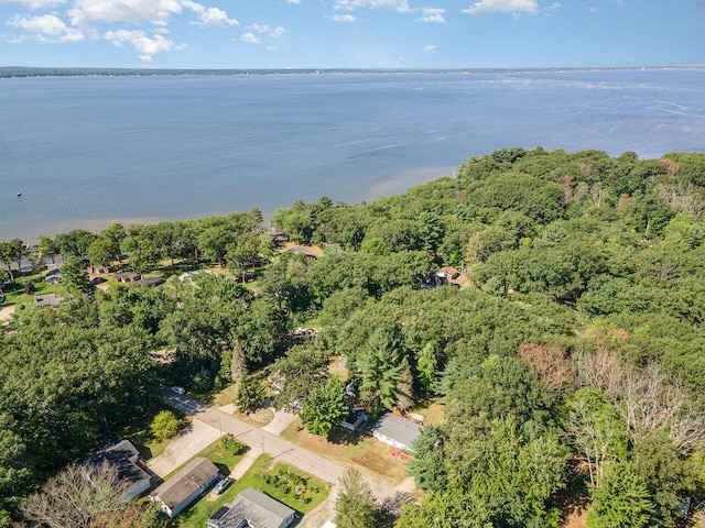 aerial view of property's location with a large body of water and a forest