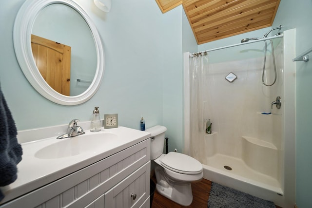 3551 W Otsego Lake Dr, Gaylord, MI 49735 - full bathroom featuring a shower stall, toilet, wooden ceiling, wood finished floors, and vanity