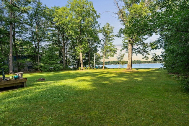 3551 W Otsego Lake Dr, Gaylord, MI 49735 - view of yard featuring a water view