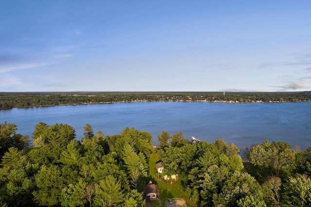 3551 W Otsego Lake Dr, Gaylord, MI 49735 - property view of water with a wooded view