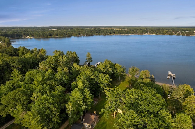 3551 W Otsego Lake Dr, Gaylord, MI 49735 - photo 3