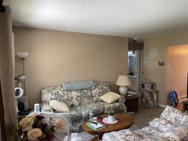 living area with a baseboard radiator, baseboards, and wood finished floors