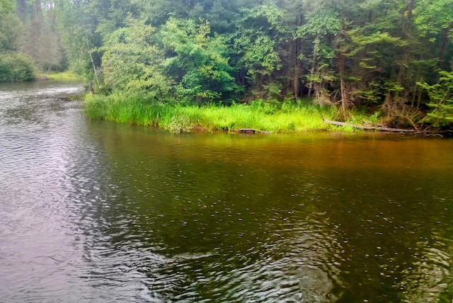 property view of water featuring a wooded view