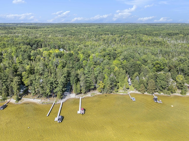 21661 Bluffs Hwy, Onaway, MI 49765 - photo 34