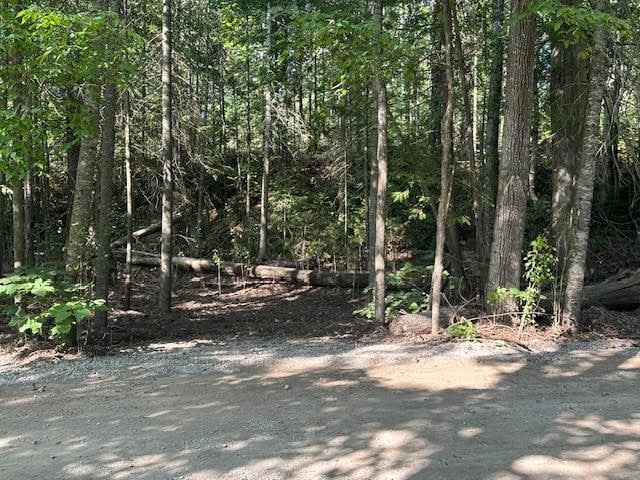 21661 Bluffs Hwy, Onaway, MI 49765 - photo 5