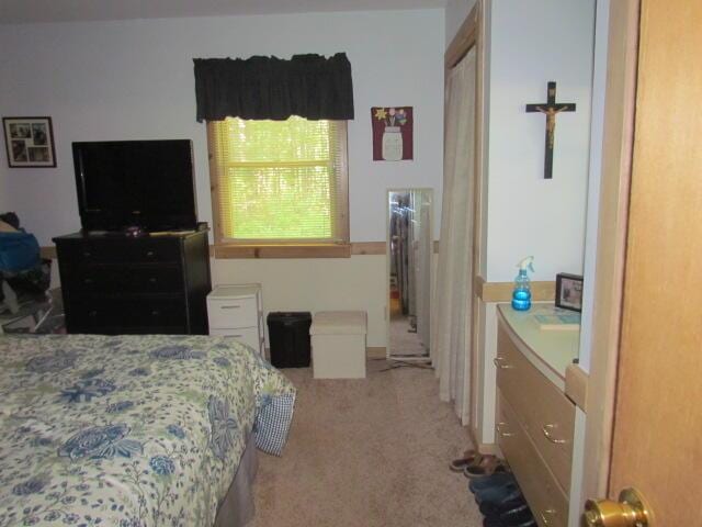 bedroom featuring light colored carpet