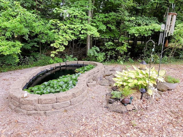 view of yard with a garden pond