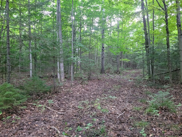 view of nature with a forest view