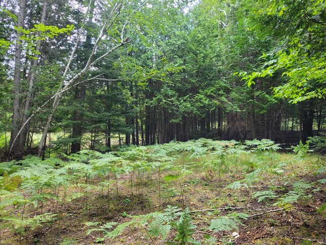 view of landscape featuring a wooded view