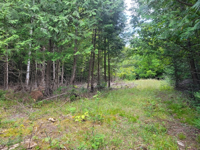 view of local wilderness with a wooded view