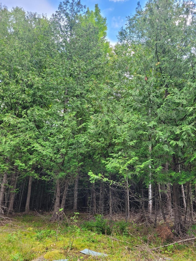 view of local wilderness with a forest view