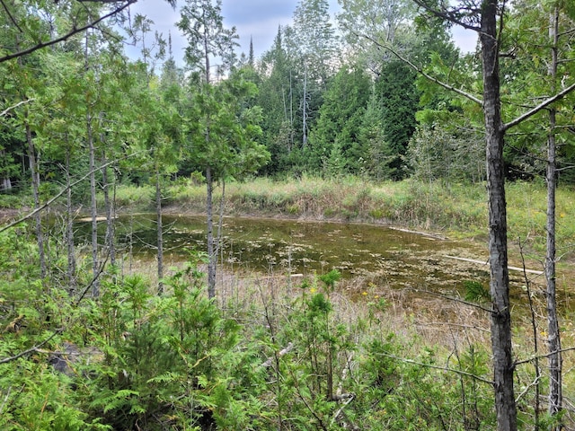 view of local wilderness with a wooded view