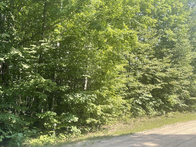502 Pinetree Dr, Elmira, MI 49730