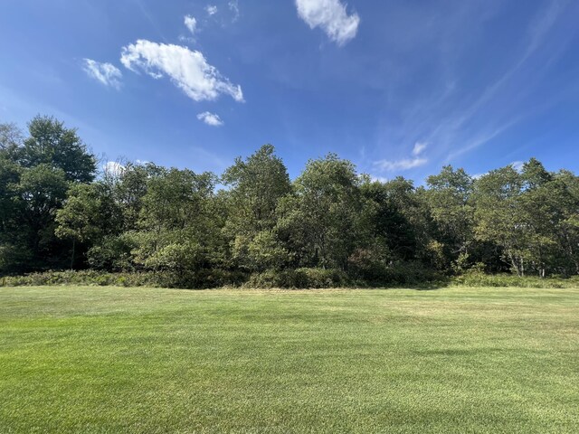 31 Birdie Cir, Grayling, MI 49738