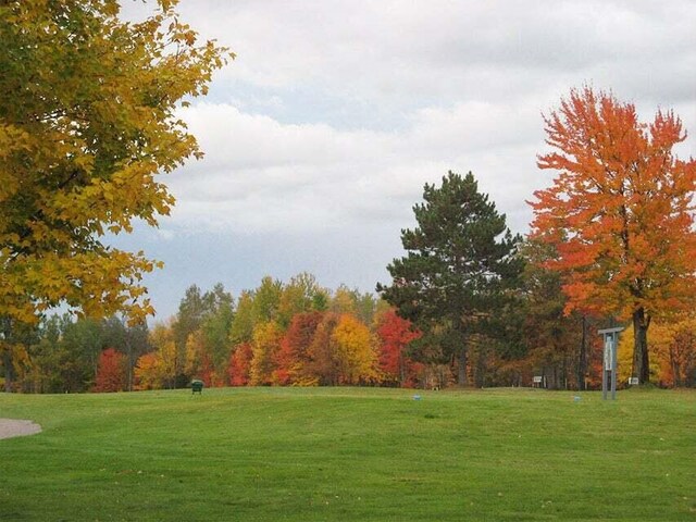 31 Birdie Cir, Grayling, MI 49738