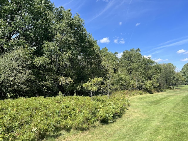 31 Birdie Cir, Grayling, MI 49738