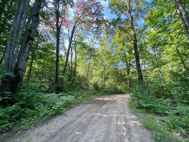 Old Stump, Gaylord MI, 49735 land for sale