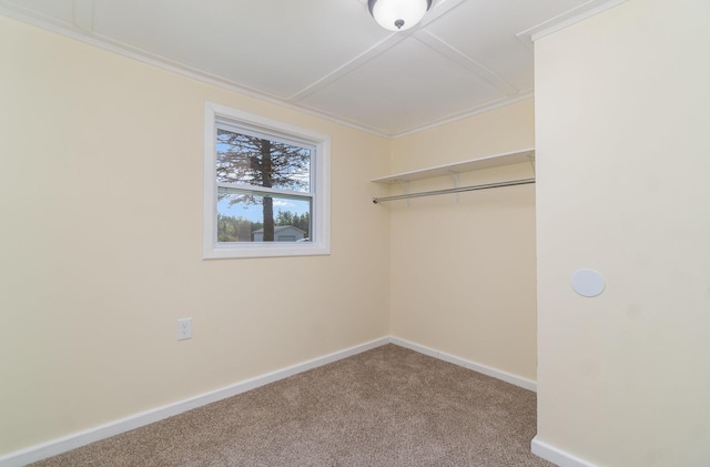 interior space featuring carpet floors