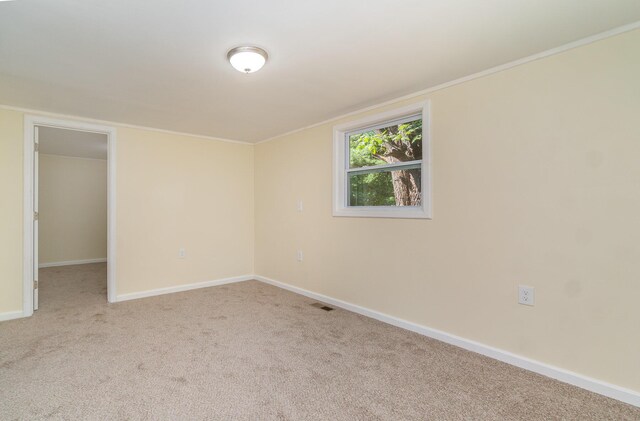 carpeted empty room featuring visible vents, baseboards, and ornamental molding