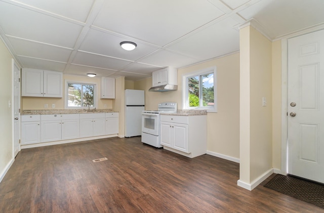 kitchen with under cabinet range hood, dark wood-style floors, white appliances, and a sink