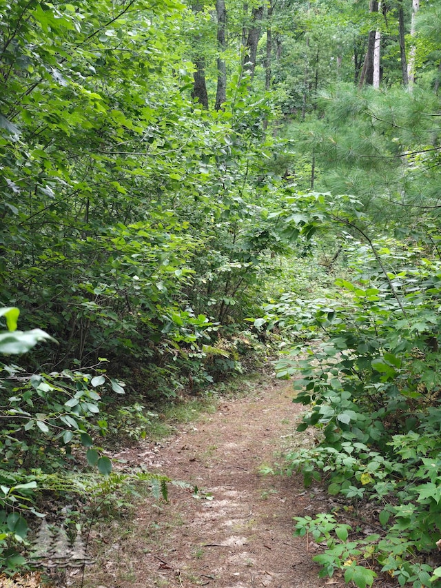 view of local wilderness featuring a wooded view