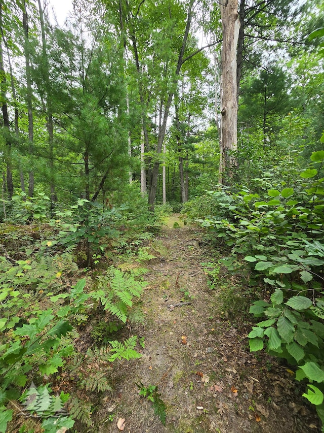 view of nature with a forest view