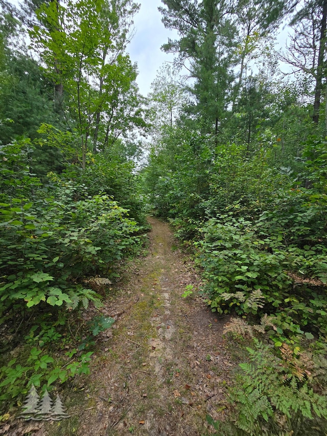 view of nature featuring a forest view