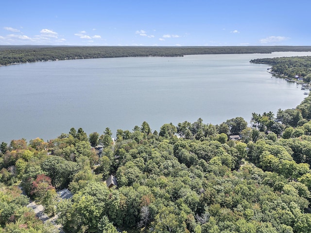 birds eye view of property with a wooded view and a water view