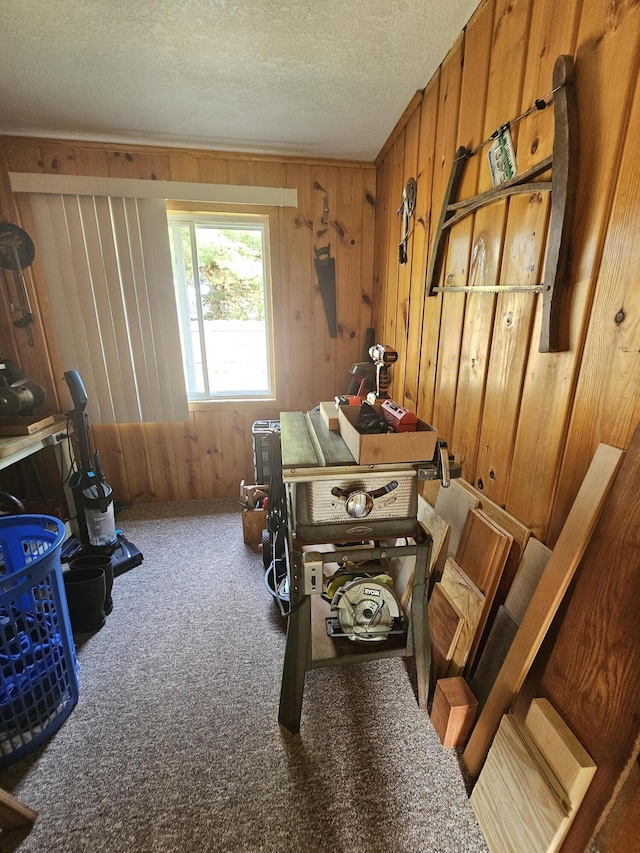 miscellaneous room featuring carpet, wooden walls, and a textured ceiling