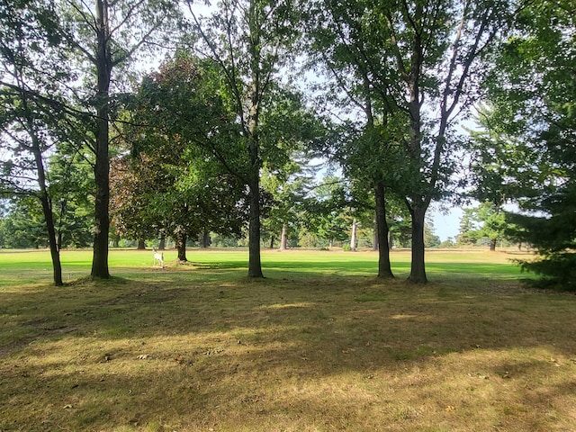 view of property's community featuring a lawn