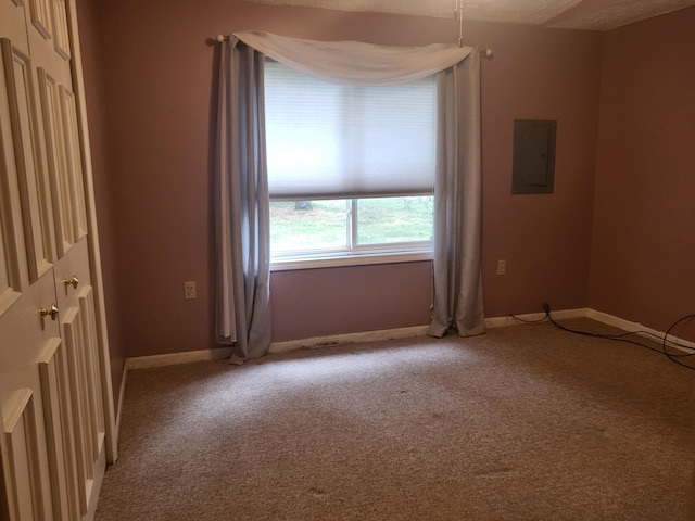 spare room featuring electric panel, baseboards, and carpet floors