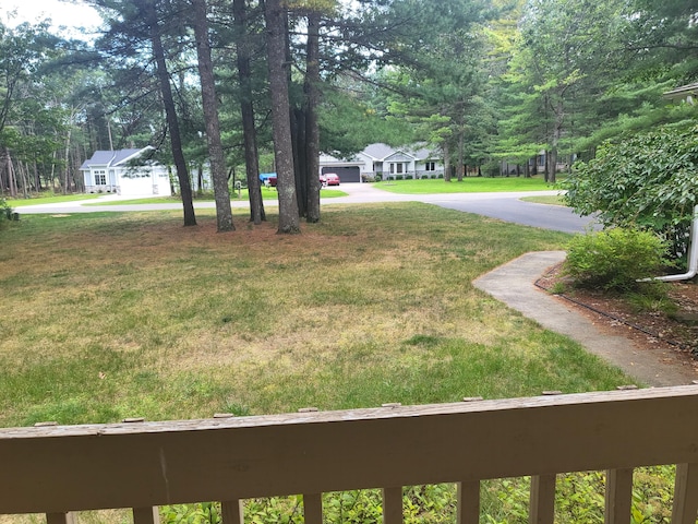 view of yard featuring driveway