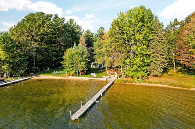 dock area with a water view