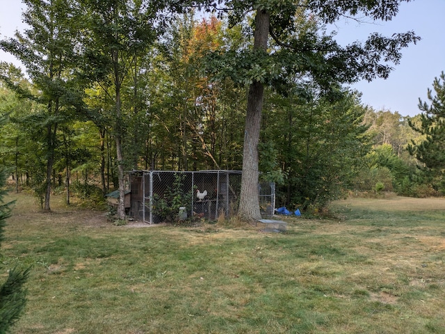 view of yard with an outdoor structure