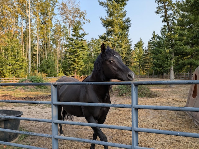 view of horse barn