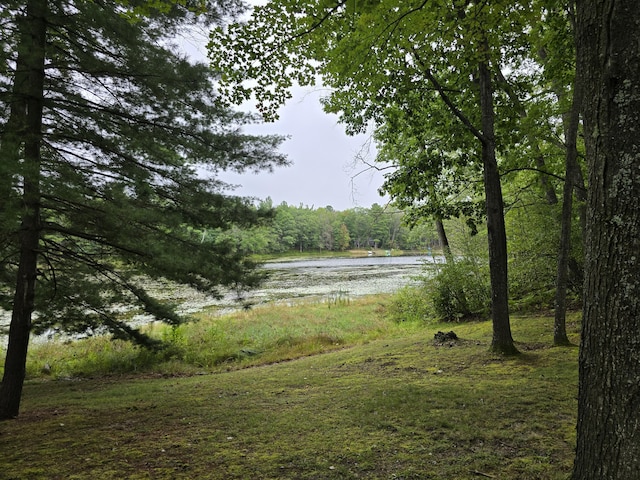 view of water feature featuring a wooded view