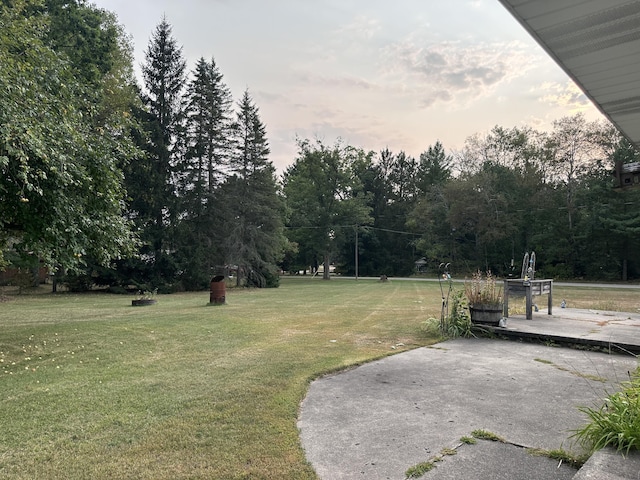 view of yard featuring a patio