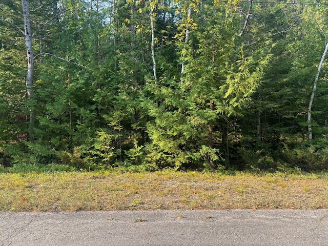 Listing photo 3 for LOT202 Sunaqua Dr, Presque Isle MI 49777