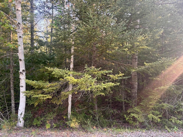 LOT202 Sunaqua Dr, Presque Isle MI, 49777 land for sale