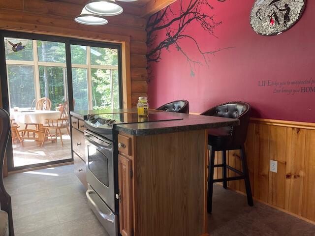 interior space featuring stainless steel electric range oven, brown cabinetry, a wainscoted wall, log walls, and dark countertops