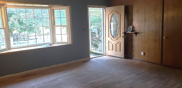 entryway with wood walls and wood finished floors