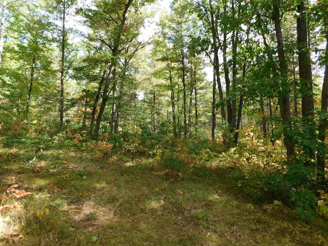 view of local wilderness with a view of trees