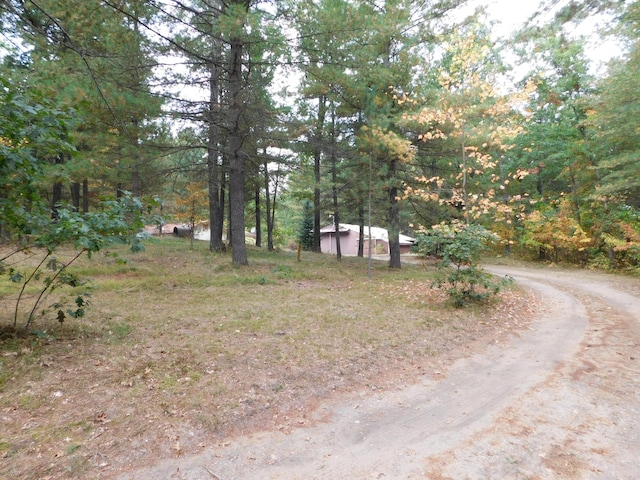 exterior space with dirt driveway